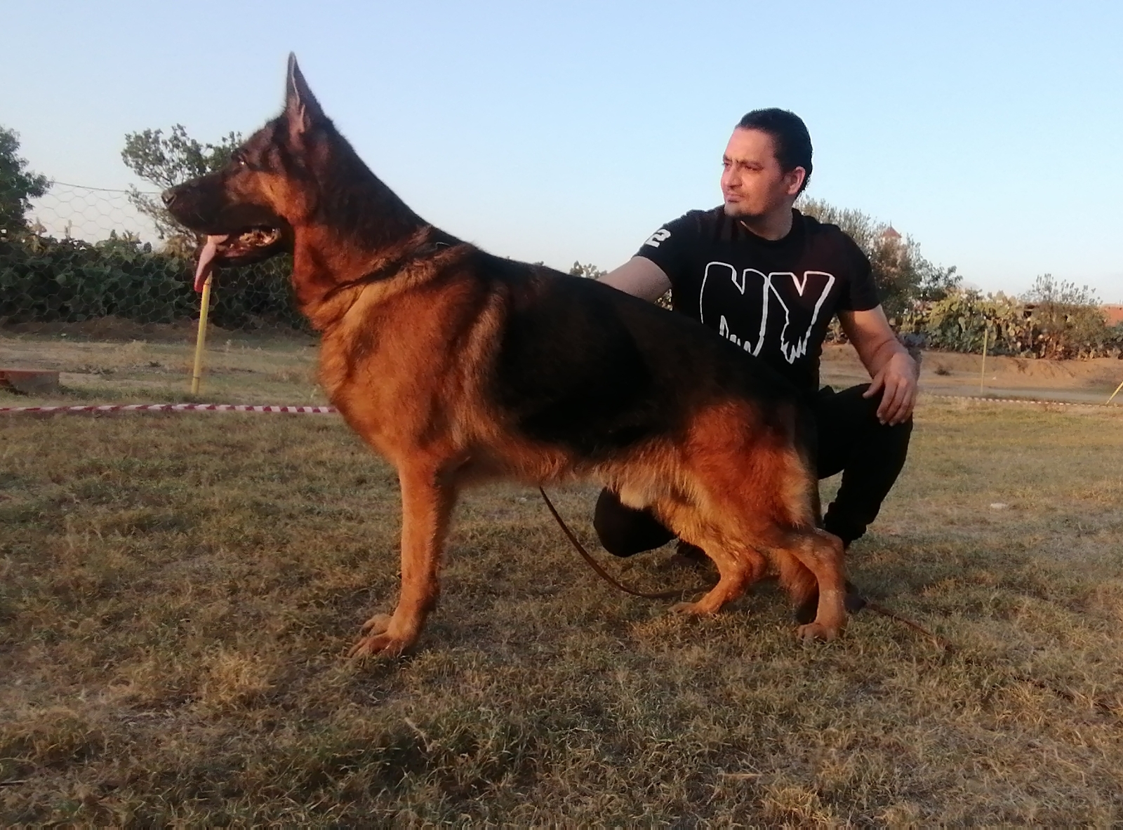 public/dog_images/360/1719239710.Drutchi Parc des Legendes.jpg